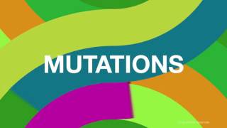 Exposition Mutations urbaines