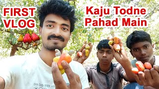 This is my first Vlog in Hindi / Kaju Todne Pahad Main / #vlogs #firstvlog /Indian village life Vlog