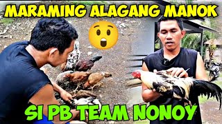 PB TEAM NONOY MARAMING ALAGANG MANOK