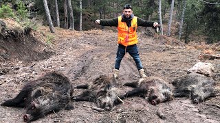 ÇORUMDA SÜRÜLERİN ARASINDA KALDIK ! CORUM HİGH ADRENALİN WILD BOAR HUNT #wildboar #chasseausanglier