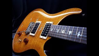 PRS Custom 24 SE - Customizada.