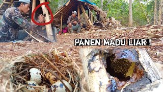 Not Solo Camping Hujan Deras - Membangun Shelter Dari Bambu - ASMR