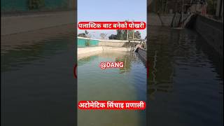 Plastic Pond And Automatic Irrigation Systems ||#Dang#youtubeshorts #ghorahi