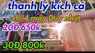 thanh lý kích cá 20Đ giá 650k. 30Đ giá 800k.chuyên  rô phi. lóc. trê.lương. ếch... hết hàng....