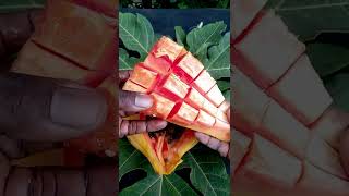 😋Cutting the Papaya Fruit into cubes 🍉  #shorts #fruit #papayafruit #shortsfruitvideo #shortspapaya