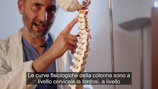 La colonna Vertebrale (dottor Francesco Finocchiaro, Casa di Cura Rizzola)