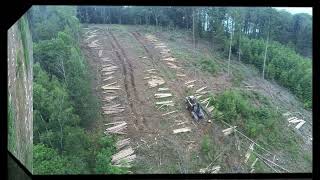 Harvester Ponsse Ergo Drohne/Inside-- 6W-- H7 Onboard GoPro Käferbäumefällen #Harvester #Holzernte