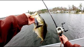 Using My Custom Painted Lure To Catch Bass