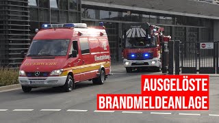 [Wachausfahrt] ELW, Drehleiter und LF auf Einsatzfahrt zu Brandmeldeanlage in Gronau