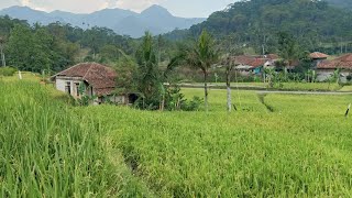 Namanya Kampung Garut.. Beginilah Suasana Kampung Garut Di Bandung Barat.