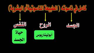 طبيعة السيد المسيح ، مجمع افسس المحاضرة الأولى