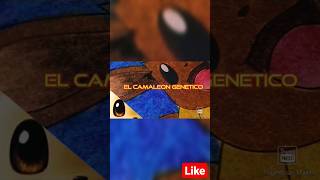 PokeDatos: 🦎¿Cual es el Camaleón Genético🧬 de Pokémon?🌟|#pokedatos #viral #pokemon