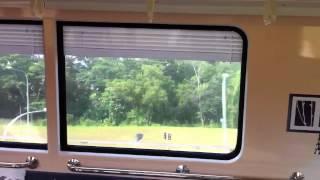 SMRT C151 113/114 - Train Ride from Yishun to Sembawang (» Jurong East [D/E])