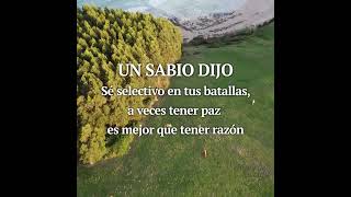 UN SABIO DIJO:  Sé selectivo en tus batallas, a veces tener paz es mejor que tener razón