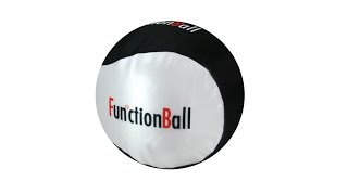 AD231 7 - Fun'ctionBall (7 Zoll) - Ballonhülle für Luftballon