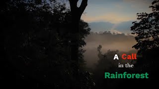 A Call in the Rainforest - Main Part 1