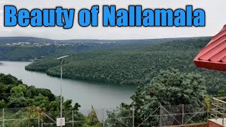 THE BEAUTY OF NALLAMALA FOREST # G3 || WEEKEND TRIP TO SRISAILAM || DINDI RESERVOIR || GHAT ROAD ||