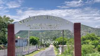 Barbacoa de chivo en la Noria Hidalgo