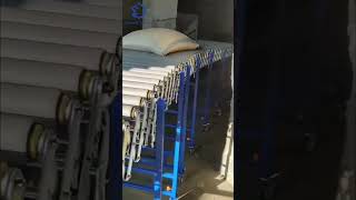 Motorized Extensible Roller Conveyor for Loading Cartons and Polybags  to Truck or Warehouse