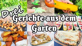 Drei erntefrische Gerichte aus dem Garten