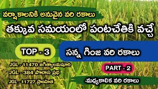 వానాకాలం తక్కువ సమయంలో పంటచేతికి వచ్చే TOP 3 సన్నగింజ వరి రకాలు | Top 3 paddy variety's in telugu