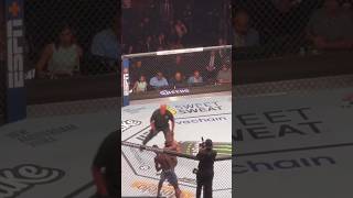 israel adesanya vs alex pereira knockout #ufc #ufc287 #israeladesanya #alexpereira #fyp