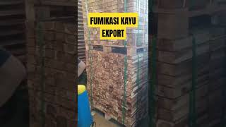 FUMIKASI KAYU AKASIA EXPORT#export #semuaorang #kayu