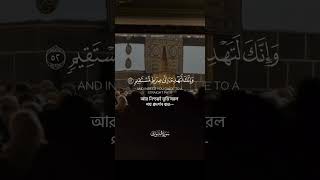 #surah_as_shura 52-53 | Bader Al-Bisher #emotional_recitation #yasseraldosary #ytshorts #shorts