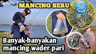 Serunya Mancing Wader Pari / Lunjar Bersama Teman-teman || Spesialis Bacot