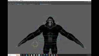 Gorilla rigging done by me ...#mayarig#rigging #autodeskmaya#gorilla#rig