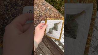 Better Together Quilt reveal! Pattern from Fat Quarter Shop Cupid Box