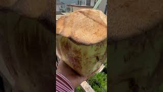 #healthy #monsoon drink #coconutwater #ytshorts #viral