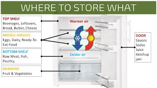 How to safely store and organize food in the fridge