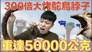 【狠愛演】300倍大烤鴕鳥脖子,重達50000公克『一輩子沒吃過』