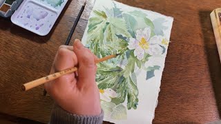 Paint flowers with me🌷asmr | watercolour tutorial | calming art vlog