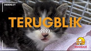 DierenLot terugblik 2023