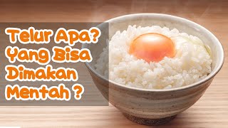 Telur Apa Yang Bisa Dimakan Mentah di Indonesia?