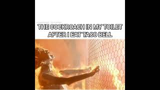 they may be immortal but nothing survives a taco bell toilet #memes #funny #shorts