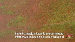 Czyszczenie dachu z glonów HD