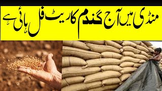 Wheat rate in Pakistan today|Wheat support price in Pakistan 2023|What is the wheat price in Punjab?