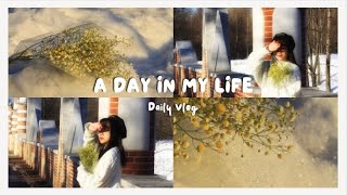 [Daily vlog] Ep 2: Một Ngày Chăm Chỉ