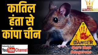 Hantavirus/More than danger to Coronavirus