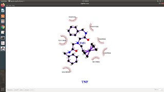 #LIG PLUS 2D Viewer LIGPLUS-LIGPLOT protein Ligand 2D Interactions# DRUG DESIGN DOCKING