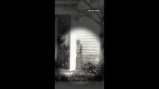 Insane GHOST Photo Caught At The Myrtles Plantation (Sam & Colby Investigation) 📸