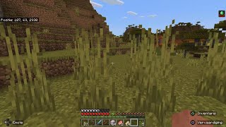 Minecraft_202308043