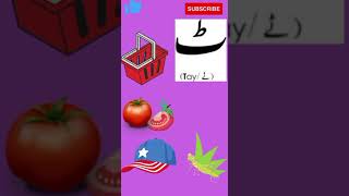 Learn Urdu Alphabets Easy Alif Bay Pay Haroof e Tahaji Urdu Short Video #shorts