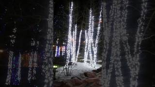 Vlogmas Day 11, Christmas Wonderland In Black Hawk! #christmas #lights