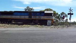 SCT Freight Train Near Littlehampton