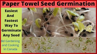 Paper Towel Seed Germination # Seed Germination Paper Towel : How to Start Seeds Fast and easy!!!