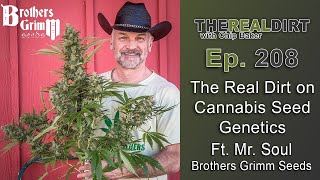 The Real Dirt on Cannabis Seed Genetics Ft. Mr Soul [Brothers Grimm Seeds]